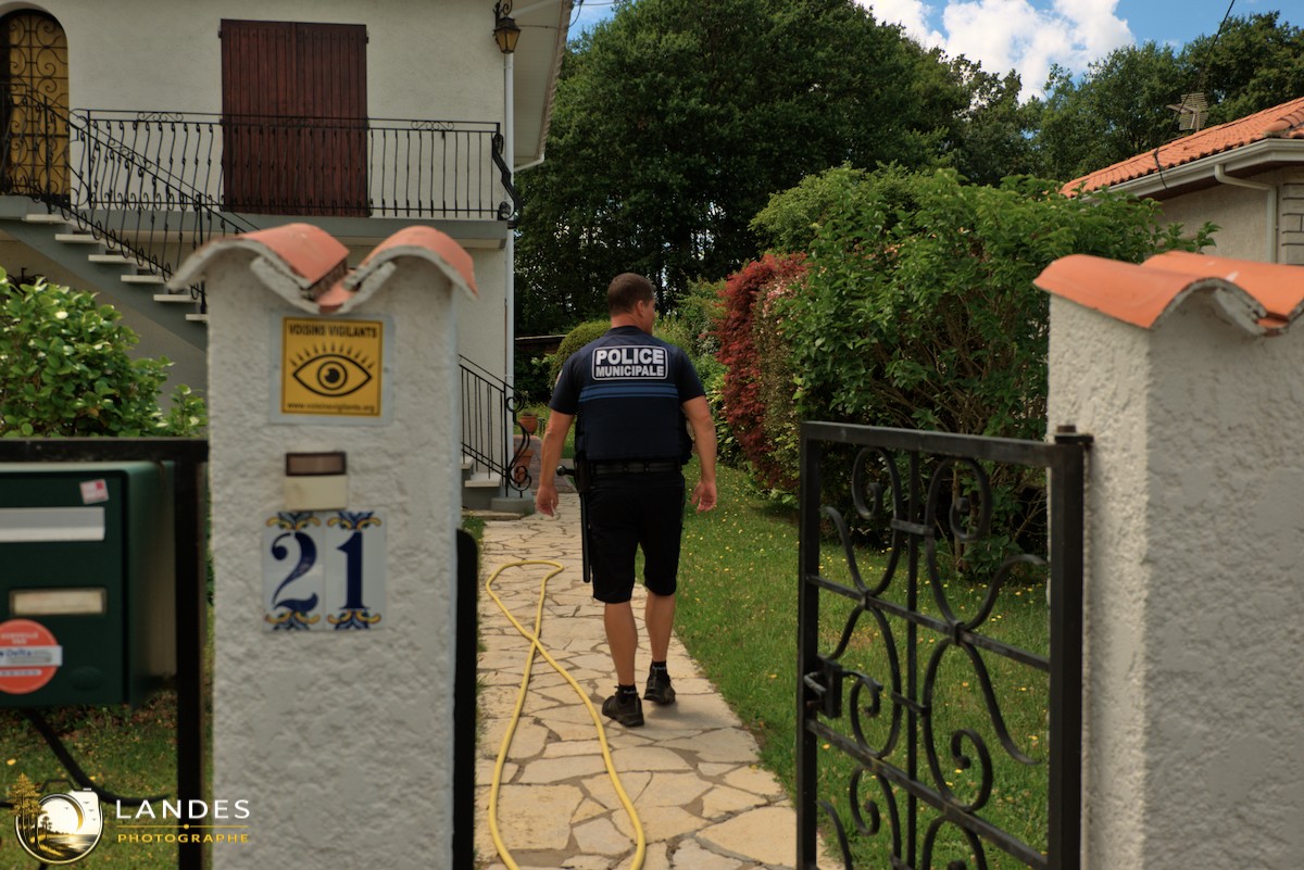 👮 Police municipale de Pessac : immersion au cœur de la prévention et de la sécurité 📸